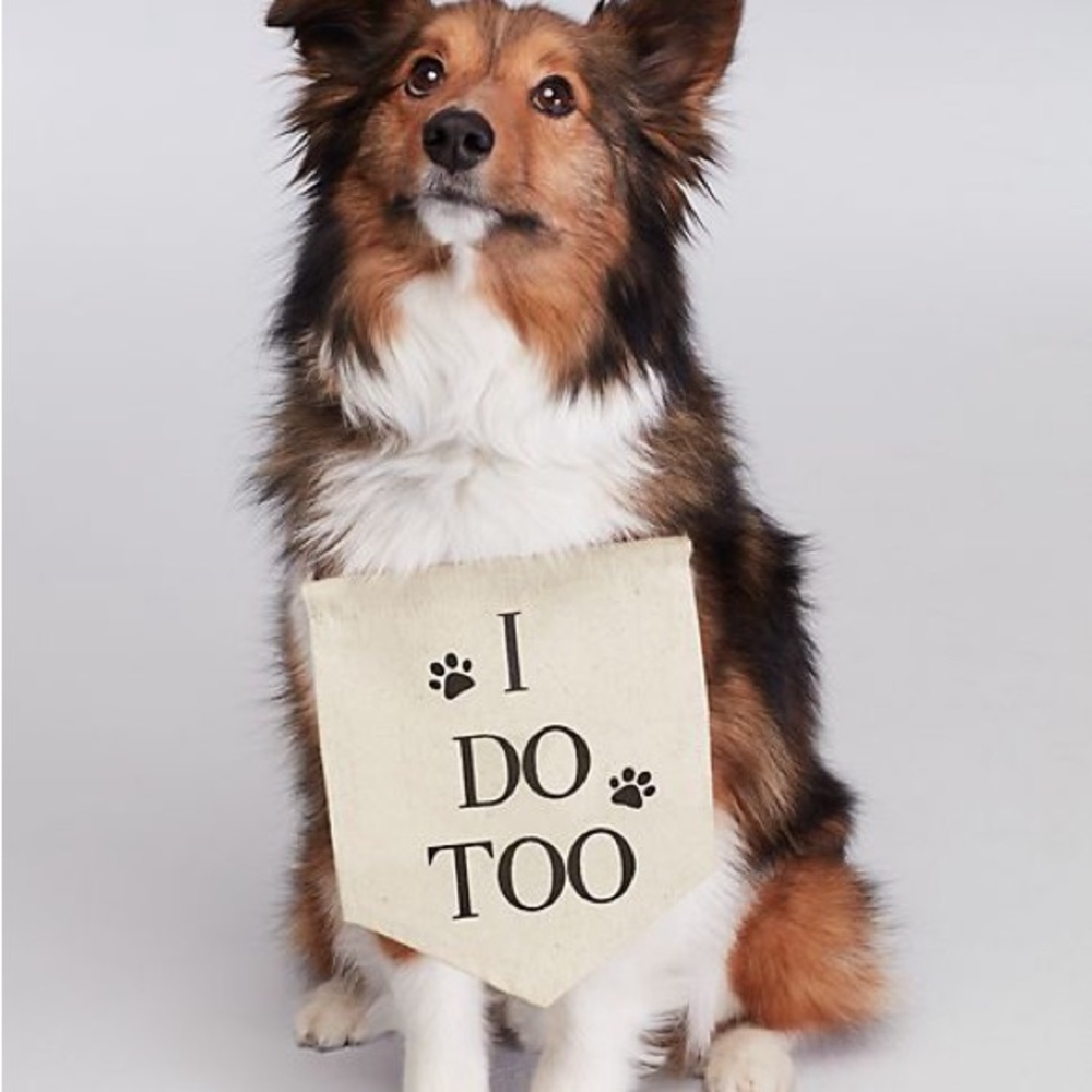 “I Do Too” wedding/engagement dog sign